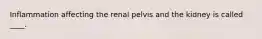 Inflammation affecting the renal pelvis and the kidney is called ____.