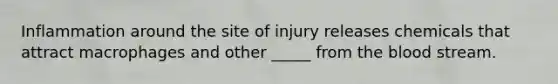 Inflammation around the site of injury releases chemicals that attract macrophages and other _____ from the blood stream.