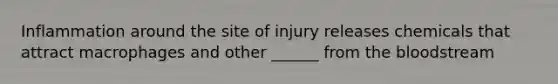 Inflammation around the site of injury releases chemicals that attract macrophages and other ______ from the bloodstream