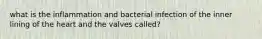 what is the inflammation and bacterial infection of the inner lining of the heart and the valves called?