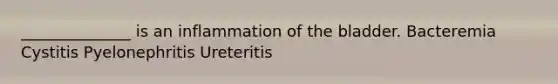 ______________ is an inflammation of the bladder. Bacteremia Cystitis Pyelonephritis Ureteritis