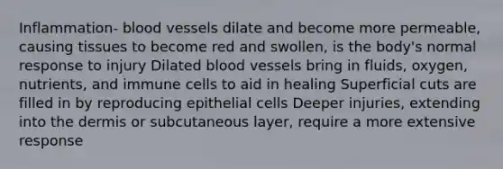 Inflammation- <a href='https://www.questionai.com/knowledge/kZJ3mNKN7P-blood-vessels' class='anchor-knowledge'>blood vessels</a> dilate and become more permeable, causing tissues to become red and swollen, is the body's normal response to injury Dilated blood vessels bring in fluids, oxygen, nutrients, and immune cells to aid in healing Superficial cuts are filled in by reproducing epithelial cells Deeper injuries, extending into <a href='https://www.questionai.com/knowledge/kEsXbG6AwS-the-dermis' class='anchor-knowledge'>the dermis</a> or subcutaneous layer, require a more extensive response