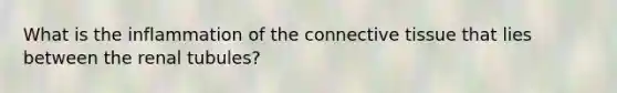 What is the inflammation of the connective tissue that lies between the renal tubules?