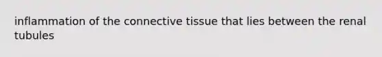 inflammation of the connective tissue that lies between the renal tubules