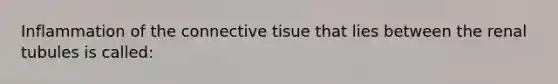 Inflammation of the connective tisue that lies between the renal tubules is called: