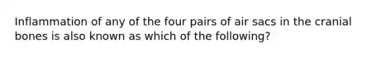 Inflammation of any of the four pairs of air sacs in the cranial bones is also known as which of the following?