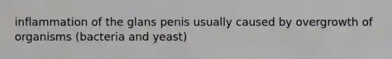 inflammation of the glans penis usually caused by overgrowth of organisms (bacteria and yeast)