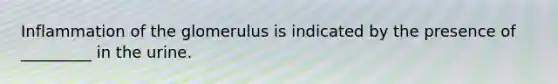Inflammation of the glomerulus is indicated by the presence of _________ in the urine.