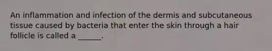 An inflammation and infection of the dermis and subcutaneous tissue caused by bacteria that enter the skin through a hair follicle is called a ______.