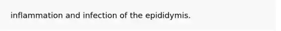 inflammation and infection of the epididymis.