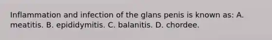 Inflammation and infection of the glans penis is known​ as: A. meatitis. B. epididymitis. C. balanitis. D. chordee.