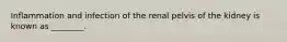 Inflammation and infection of the renal pelvis of the kidney is known as ________.