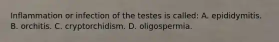 Inflammation or infection of the testes is​ called: A. epididymitis. B. orchitis. C. cryptorchidism. D. oligospermia.