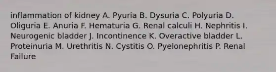 inflammation of kidney A. Pyuria B. Dysuria C. Polyuria D. Oliguria E. Anuria F. Hematuria G. Renal calculi H. Nephritis I. Neurogenic bladder J. Incontinence K. Overactive bladder L. Proteinuria M. Urethritis N. Cystitis O. Pyelonephritis P. Renal Failure