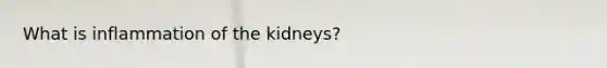 What is inflammation of the kidneys?