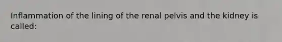 Inflammation of the lining of the renal pelvis and the kidney is called: