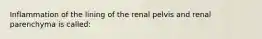 Inflammation of the lining of the renal pelvis and renal parenchyma is called: