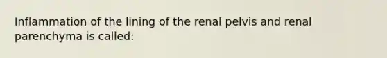 Inflammation of the lining of the renal pelvis and renal parenchyma is called: