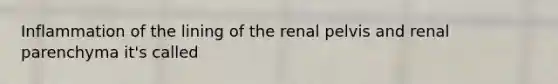 Inflammation of the lining of the renal pelvis and renal parenchyma it's called