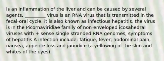 is an inflammation of the liver and can be caused by several agents. _________ virus is an RNA virus that is transmitted in the fecal-oral cycle, it is also known as infectious hepatitis, the virus is in the Picornaviridiae family of non-enveloped icosahedral viruses with + sense single stranded RNA genomes, symptoms of hepatitis A infection include: fatigue, fever, abdominal pain, nausea, appetite loss and jaundice (a yellowing of the skin and whites of the eyes)