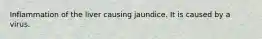 Inflammation of the liver causing jaundice. It is caused by a virus.