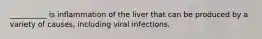 __________ is inflammation of the liver that can be produced by a variety of causes, including viral infections.