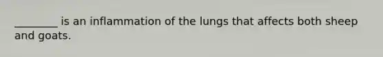 ________ is an inflammation of the lungs that affects both sheep and goats.