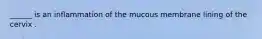 ______ is an inflammation of the mucous membrane lining of the cervix .