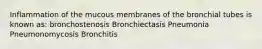 Inflammation of the mucous membranes of the bronchial tubes is known as: bronchostenosis Bronchiectasis Pneumonia Pneumonomycosis Bronchitis