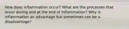 How does inflammation occur? What are the processes that occur during and at the end of inflammation? Why is inflammation an advantage but sometimes can be a disadvantage?