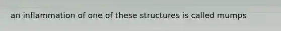 an inflammation of one of these structures is called mumps