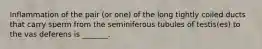 Inflammation of the pair (or one) of the long tightly coiled ducts that carry sperm from the seminiferous tubules of testis(es) to the vas deferens is _______.