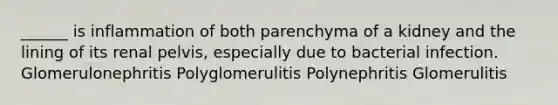 ______ is inflammation of both parenchyma of a kidney and the lining of its renal pelvis, especially due to bacterial infection. Glomerulonephritis Polyglomerulitis Polynephritis Glomerulitis