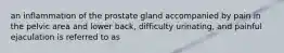 an inflammation of the prostate gland accompanied by pain in the pelvic area and lower back, difficulty urinating, and painful ejaculation is referred to as