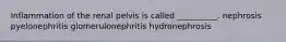 Inflammation of the renal pelvis is called __________. nephrosis pyelonephritis glomerulonephritis hydronephrosis