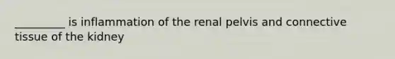 _________ is inflammation of the renal pelvis and connective tissue of the kidney