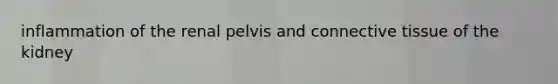 inflammation of the renal pelvis and <a href='https://www.questionai.com/knowledge/kYDr0DHyc8-connective-tissue' class='anchor-knowledge'>connective tissue</a> of the kidney