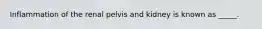 Inflammation of the renal pelvis and kidney is known as _____.