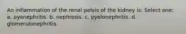 An inflammation of the renal pelvis of the kidney is: Select one: a. pyonephritis. b. nephrosis. c. pyelonephritis. d. glomerulonephritis.