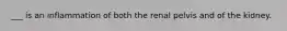 ___ is an inflammation of both the renal pelvis and of the kidney.