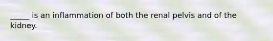 _____ is an inflammation of both the renal pelvis and of the kidney.​