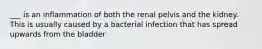 ___ is an inflammation of both the renal pelvis and the kidney. This is usually caused by a bacterial infection that has spread upwards from the bladder