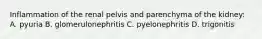 Inflammation of the renal pelvis and parenchyma of the kidney: A. pyuria B. glomerulonephritis C. pyelonephritis D. trigonitis