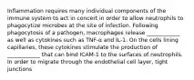 Inflammation requires many individual components of the immune system to act in concert in order to allow neutrophils to phagocytize microbes at the site of infection. Following phagocytosis of a pathogen, macrophages release ____________ as well as cytokines such as TNF-α and IL-1. On the cells lining capillaries, these cytokines stimulate the production of ____________ that can bind ICAM-1 to the surfaces of neutrophils. In order to migrate through the endothelial cell layer, tight junctions