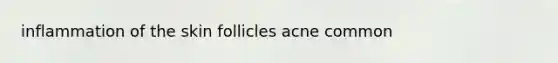inflammation of the skin follicles acne common