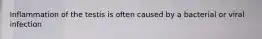 Inflammation of the testis is often caused by a bacterial or viral infection