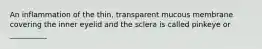 An inflammation of the thin, transparent mucous membrane covering the inner eyelid and the sclera is called pinkeye or __________