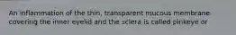 An inflammation of the thin, transparent mucous membrane covering the inner eyelid and the sclera is called pinkeye or