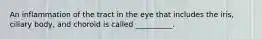 An inflammation of the tract in the eye that includes the iris, ciliary body, and choroid is called __________.