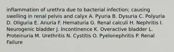 inflammation of urethra due to bacterial infection; causing swelling in renal pelvis and calyx A. Pyuria B. Dysuria C. Polyuria D. Oliguria E. Anuria F. Hematuria G. Renal calculi H. Nephritis I. Neurogenic bladder J. Incontinence K. Overactive bladder L. Proteinuria M. Urethritis N. Cystitis O. Pyelonephritis P. Renal Failure